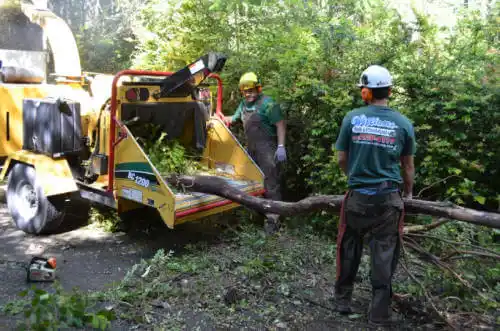 tree services Middletown